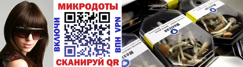 Галлюциногенные грибы Psilocybe  Купить  Борзя 